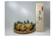 多気町産伊勢いもを使った「伊勢いも焼酎」720ml　1本 TB-05