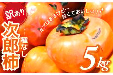 【令和7年産柿/先行予約】《 訳あり 》5㎏ 次郎柿 たねなし 柿 かき フルーツ 家庭用 訳あり 規格外 わけあり 不揃い ふぞろい 種なし 干し柿 先行 先行予約 三重県 多気町 GF-17
