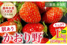 1kg (250g×4) 農林水産大臣賞受賞農園からお届けする【訳アリ】かおり野（小粒）/いちご イチゴ 苺 三重県 多気町 ISH-02
