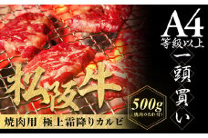 松阪牛 極上霜降り カルビ 焼肉用 500g 焼肉のたれ付 極上の柔らかさ 化粧箱入り 柔らかい 松坂牛 松阪肉 高級ブランド牛 バラ ハネシタ 三角バラ 焼き肉 自宅用 贈答品 ギフトA4 A5 特産松阪牛 お歳暮 お中元 牛肉 とろける 和牛 三重県 NTY-09