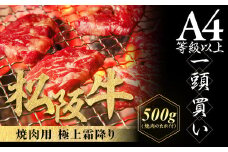 松阪牛 極上霜降り 焼肉用 500g 焼肉のたれ付 極上の柔らかさ 化粧箱入り 柔らかい 松坂牛 松阪肉 高級ブランド牛 イチボ ハネシタ ロース トモサンカク 三角 ミスジ カイノミ 焼き肉 自宅用 贈答品 ギフトA4 A5 特産松阪牛 お歳暮 お中元 牛肉 とろける 和牛 三重県 NTY-10