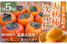 【令和7年産柿/先行予約】栽培期間中農薬不使用  (大秋・次郎柿) 5kg 多気町産柿 柿 かき フルーツ 家庭用 訳あり 規格外 わけあり 不揃い ふぞろい 干し柿 大秋 次郎柿 先行 先行予約 三重県 多気町 YK-02