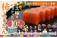 キズ柿をつかった柿ようかん 10個入り 次郎柿 たねなし 柿 かき フルーツ 種なし SDG’s 干し柿 スイーツ 羊羹 ようかん 和菓子 柿羊羹 果物 三重県 多気町 GF-18