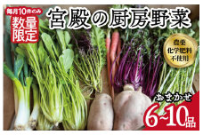 ★レビューキャンペーン対象★宮殿の厨房野菜 六月農園 おまかせセット 野菜 セット 産地直送 おまかせ 季節の野菜 旬 詰め合わせ 人気 限定 有機栽培 オーガニック 明和町 国産 リピート N5
