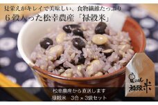 ★レビューキャンペーン対象★食物繊維 たっぷり ６穀入った 禄穀米 ふるさと納税 ふるさと 米 コメ こめ おこめ ギフト プレゼント お祝い返礼品 三重米 お米 精米 こしひかり コシヒカリ うるち米 もち米 ブランド米 国産 雑穀米 ブレンド 豆ごはん 3合 玄米 大麦 もち米 もっちり Q3