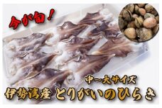 ★レビューキャンペーン対象★【期間限定】とりがいのひらき 旬 おすすめ 中～大サイズ とり貝 トリガイ 貝 鳥貝 急速冷凍 高タンパク 低脂肪 ヘルシー