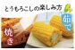 甘みが強くてみずみずしい品種ゴールドラッシュ