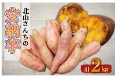 ★レビューキャンペーン対象★北山さんちのさつまいも 安納芋 2kg さつまいも サツマイモ 薩摩芋 いも 芋 ほくほく 産地直送 新鮮 野菜 季節の野菜 旬 直送