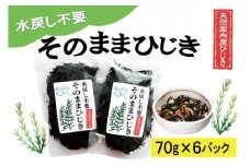 ★レビューキャンペーン対象★【伊勢丸い水産】 簡単！！ そのまま ひじき 6個パック サラダ マリネ かき揚げ 天ぷら 和え物 煮物 ドライパック 小分け 手軽 時短 戻し不要 ミネラル 栄養 鉄分