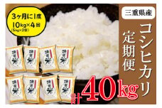 ★レビューキャンペーン対象★三重県産 特選米 コシヒカリ 10kg 定期便 ふるさと納税 ふるさと 米 コメ こめ おこめ ギフト プレゼント 贈答 贈り物 御祝い お祝い返礼品 人気 お取り寄せ 三重米 お米 新米 白米 精米 ブランド米 国産 玄米 精米歩合 指定可 MK3