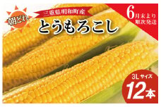 ★レビューキャンペーン対象★朝採れ とうもろこし スイートコーン 3Lサイズ キャンプ BBQ 人気 トウモロコシ 生 野菜 産地直送 朝どれ 甘い 期間限定 国産 旬 夏野菜