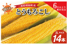 ★レビューキャンペーン対象★朝採れ とうもろこし スイートコーン 2Lサイズ キャンプ BBQ 人気 トウモロコシ 生 野菜 産地直送 朝どれ 甘い 期間限定 国産 旬 夏野菜