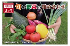 ★レビューキャンペーン対象★旬の野菜 詰め合わせ 6～7品以上 連続3か月 【 定期便 】 おまかせ セット 産地直送 新鮮 野菜 季節の野菜 旬 直売所 直送 連続 新鮮 ja1