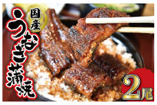 ★レビューキャンペーン対象★ うなぎのかば焼き 2尾入り (タレ4本入り) うな丼 丼 蒲焼 精力 国産 三重 お祝い 特別な日 有名店 行列 職人技 タレ