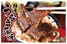 ★レビューキャンペーン対象★ うなぎのかば焼き 2尾入り (タレ4本入り) うな丼 丼 蒲焼 精力 国産 三重 お祝い 特別な日 有名店 行列 職人技 タレ