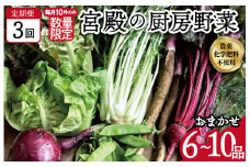 ★レビューキャンペーン対象★宮殿の厨房野菜 おまかせ定期便 （3回） 六月農園 野菜 セット 産地直送 おまかせ 季節の野菜 旬 詰め合わせ 人気 限定 有機栽培 オーガニック 明和町 国産 リピート 定期便