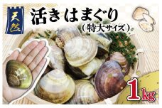 ★レビューキャンペーン対象★【しもい水産】三重県産 活きはまぐり 特大サイズ １kg はまぐり ハマグリ 天然はまぐり 活はまぐり 天然 砂抜き ふるさと納税 ふるさと 人気 網焼き 酒蒸し お吸い物 バーベキュー BBQ