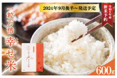 ★レビューキャンペーン対象★一粒万倍 幸せ米 1合×4個 コシヒカリ お米 おこめ 三重県産 送料無料 小分け 冷めてもおいしい 三重 米 白米 精米 ギフト 祝 贈り物 喜ばれる お米ギフト お祝い 内祝い 贈答 一粒万倍日 伊勢神宮 奉納
