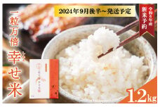 ★レビューキャンペーン対象★一粒万倍 幸せ米 1合×8個 コシヒカリ お米 おこめ 三重県産 送料無料 小分け 冷めてもおいしい 三重 米 白米 精米 ギフト 祝 贈り物 喜ばれる お米ギフト お祝い 内祝い 贈答 一粒万倍日 伊勢神宮 奉納