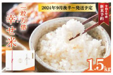★レビューキャンペーン対象★一粒万倍 幸せ米 2合×5個 コシヒカリ お米 おこめ 三重県産 送料無料 小分け 冷めてもおいしい 三重 米 白米 精米 ギフト 祝 贈り物 喜ばれる お米ギフト お祝い 内祝い 贈答 一粒万倍日 伊勢神宮 奉納