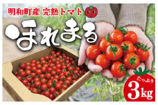 ★レビューキャンペーン対象★明和町産 完熟 トマト ほれまる 3kg ミニトマト 朝採り 新鮮 生鮮 野菜 あっさり