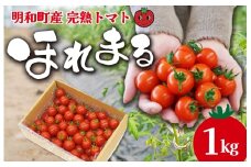 明和町産 完熟 トマト ほれまる 1kg ミニトマト 朝採り 新鮮 生鮮 野菜 あっさり