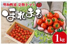 ★レビューキャンペーン対象★明和町産 完熟 トマト ほれまる 1kg ミニトマト 朝採り 新鮮 生鮮 野菜 あっさり