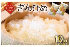三重県産 コシヒカリ ぎんひめ 精米 5kg×2袋（合計 10kg） ふるさと納税 ふるさと 米 コメ こめ おこめ ギフト プレゼント 贈答 贈り物 御祝い お祝い返礼品 人気 お取り寄せ 三重米 お米 新米 白米 精米 ブランド米 国産 JA