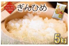 三重県産 コシヒカリ ぎんひめ 精米 5kg ふるさと納税 ふるさと 米 コメ こめ おこめ ギフト プレゼント 贈答 贈り物 御祝い お祝い返礼品 人気 お取り寄せ 三重米 お米 新米 白米 ブランド米 ふるさと納税
