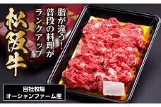 SS01　松阪牛　小間切れ　500ｇ／（冷凍）瀬古食品　バラ　スネ　松阪肉　名産　お取り寄せグルメ　三重県　大台町