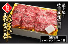 SS01　松阪牛焼肉（特選赤身）　500ｇ／（冷凍）ギフト箱包装　瀬古食品　JGAP認定　松阪肉　名産　お取り寄せグルメ　三重県　大台町