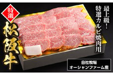 SS01　松阪牛焼肉（特選カルビ）　500ｇ／（冷凍）ギフト箱包装　瀬古食品　JGAP認定　松阪肉　名産　お取り寄せグルメ　三重県　大台町