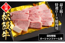SS01　松阪牛焼肉（特選ロース）　500ｇ／（冷凍）ギフト箱包装　瀬古食品　JGAP認定　松阪肉　名産　お取り寄せグルメ　三重県　大台町