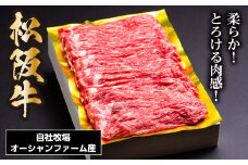 SS01　松阪牛しゃぶしゃぶ用（赤身）　500ｇ／（冷凍）ギフト箱包装　瀬古食品　JGAP認定　松阪肉　名産　お取り寄せグルメ　三重県　大台町
