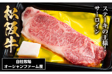 松阪牛 サーロインステーキ 約150g×1枚／ 冷凍 瀬古食品 JGAP認定 松阪肉 名産 お取り寄せ 牛肉 お肉 肉 和牛 黒毛和牛 国産 国産牛 松阪牛 ステーキ サーロイン ブランド牛 家庭用 ギフト 贈答用 産地直送 松阪 牛 赤身 霜降り 三重県 大台町 (0050)