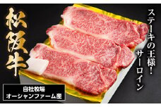 SS01　松阪牛サーロインステーキ　450ｇ（約150ｇ×3枚）／（冷凍）ギフト箱包装　瀬古食品　JGAP認定　松阪肉　名産　お取り寄せグルメ　三重県　大台町