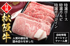 （冷凍）松阪牛オールスターセットNo.1（特選ロース（すきやき用）300ｇ、特選カルビ（焼き肉用）300ｇ、特選サーロイン（ステーキ用）約200ｇ×2枚）／ 瀬古食品　松阪肉　名産　お取り寄せグルメ