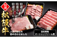 （冷凍）松阪牛オールスターセットNo.2（特選ロース（すきやき用）400ｇ、特選カルビ（焼き肉用）400ｇ、特選サーロイン（ステーキ用）約200ｇ×2枚）／ 瀬古食品　松阪肉　名産　お取り寄せグルメ