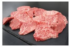 松阪牛 ヒレ 焼肉用 500g ギフト箱入り／ 冷凍 瀬古食品 松阪肉 希少 名産 お取り寄せグルメ 牛肉 お肉 肉 和牛 黒毛和牛 国産 国産牛 松阪牛 焼き肉 焼肉 ブランド牛 ギフト 贈答 産地直送 松阪 牛 三重県 大台町 (253)