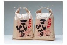 こしひかり 精米 20kg ／ 積木商店 お米 白米 米 こめ ご飯 おいしいお米 三重県 大台町