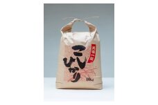 こしひかり 精米 10kg ／ 積木商店 お米 白米 米 こめ ご飯 おいしいお米 三重県 大台町