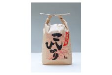 こしひかり 精米 5kg ／ 積木商店 お米 白米 米 こめ ご飯 おいしいお米 三重県 大台町