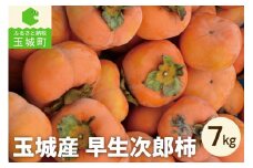 玉城産 早生次郎柿 約7kg 数量限定(クレジット申込限定)