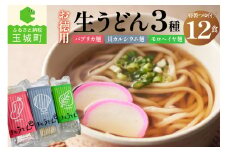 お徳用(簡易包装) 生うどん3種12食詰め合わせセット