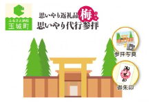 思いやり返礼品 思いやり代行参拝 (梅)