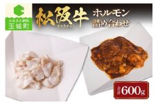 松阪牛ホルモン 600g(2種×300g)（牛肉 ホルモン 松阪牛 国産牛肉 国産松阪牛 国産牛肉 コプチャン レバー ギャラ テチャン 三重県産ホルモン 高級ホルモン 贅沢松阪牛ホルモン）