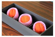 三重県産 いちご かおりの(3粒入り)