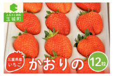三重県玉城産 いちご 「かおりの」 12粒入り