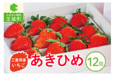 三重県玉城産 いちご 「章姫」12粒入り 