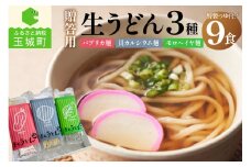  贈答用オリジナル箱入り 3種の生うどん 9食(3食入り×3箱)